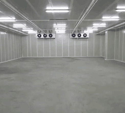 鲜2.png