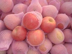 200吨小型苹果冷库设计安装造价费用多少