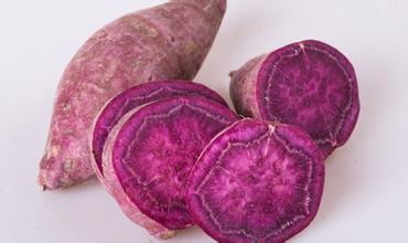 果蔬紫薯保鲜冷库安装冷库设计保鲜方法