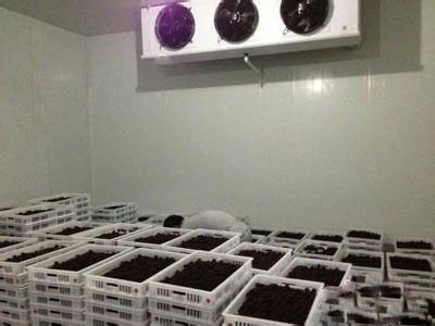 上海安装大型水果冷库造价预算