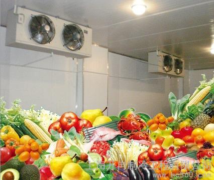 大型果蔬保鲜冷库工程安装设计冷库建造