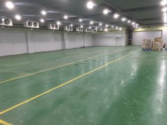 冻库安装设计费用设备多少钱