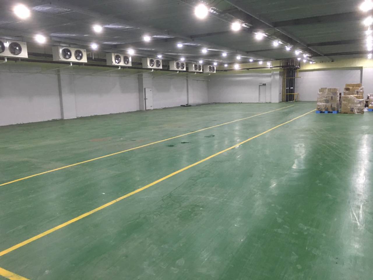 2000平冻库安装调试完工