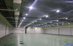 冷冻库设计多少钱|冷库造价