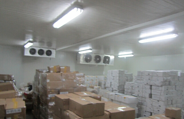 1200立方米猪肉冷冻品冷冻库建设造价，冷冻品冷库