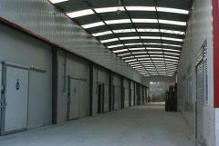 650立方米果蔬气调库设计方案，芦笋气调冷库建造价格是多少？