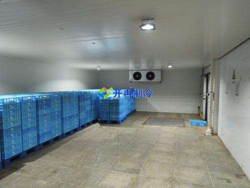 建造2000平米食品批发冷藏库（低温冷藏室）安装造价多少钱