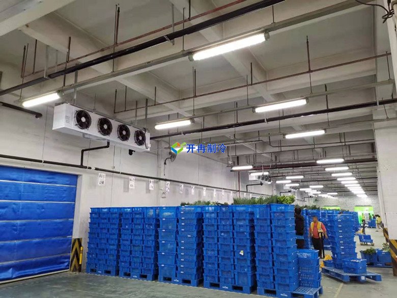 5000平米生鲜电商冷库设计建造标准造价核算