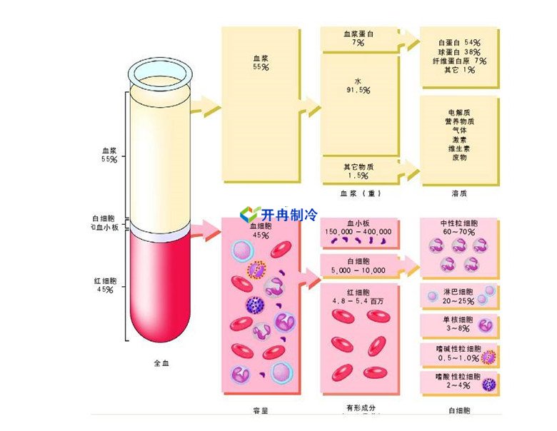 -30℃～-80℃血浆蛋白低温冷冻库规范，冷库安装价格