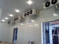 修建500平米水果冷藏库所需成本多少？