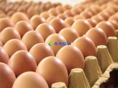 建造200个立方蛋品冷藏库安装造价