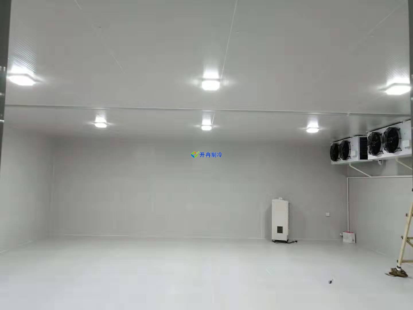 体外诊断试剂冷库